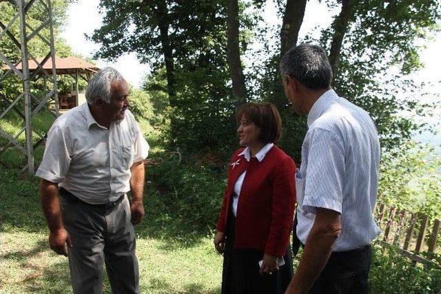 Bakan Yardımcısı Asan D&uuml;zce&rsquo;de 1