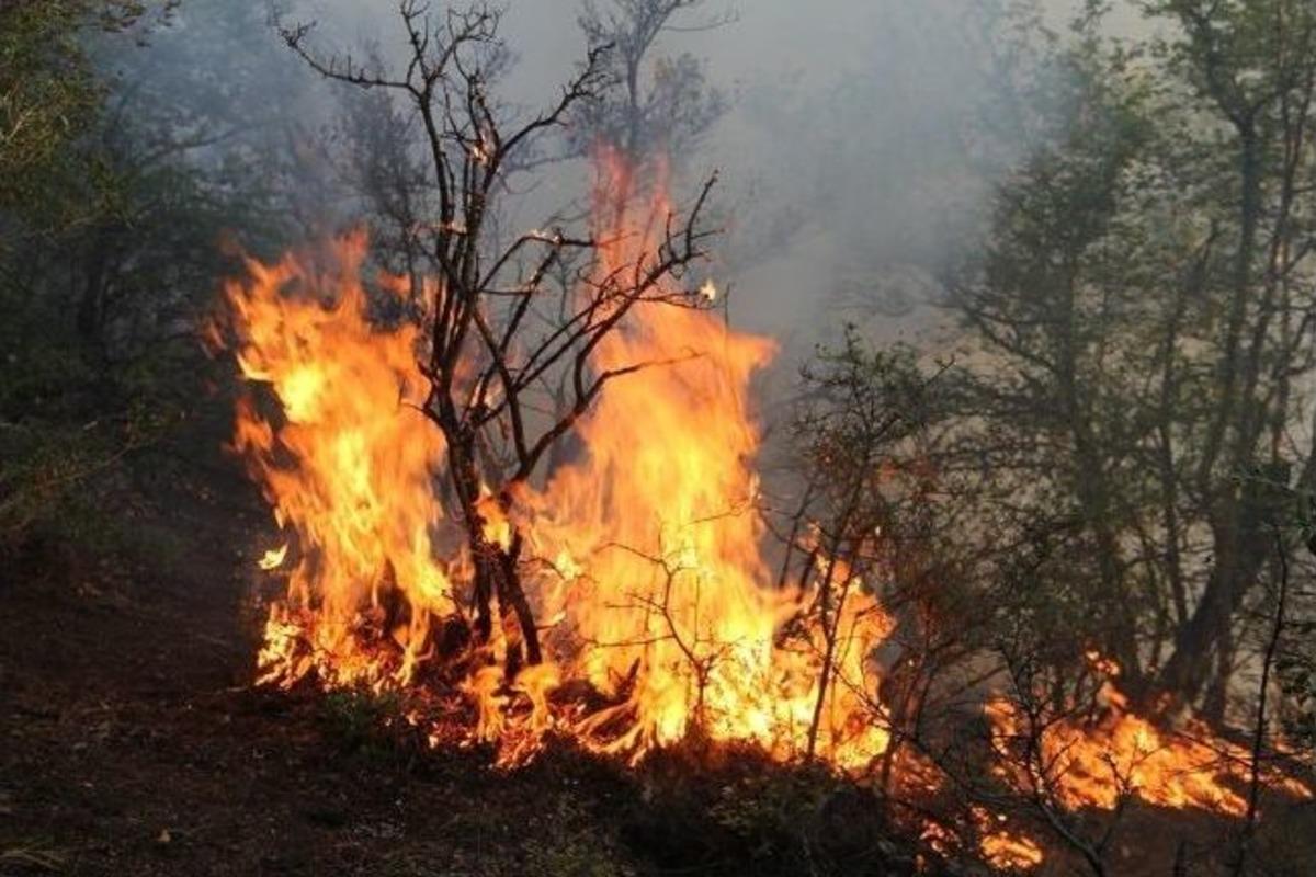 Ayvacık&rsquo;taki Orman Yangını 4. G&uuml;n&uuml;nde