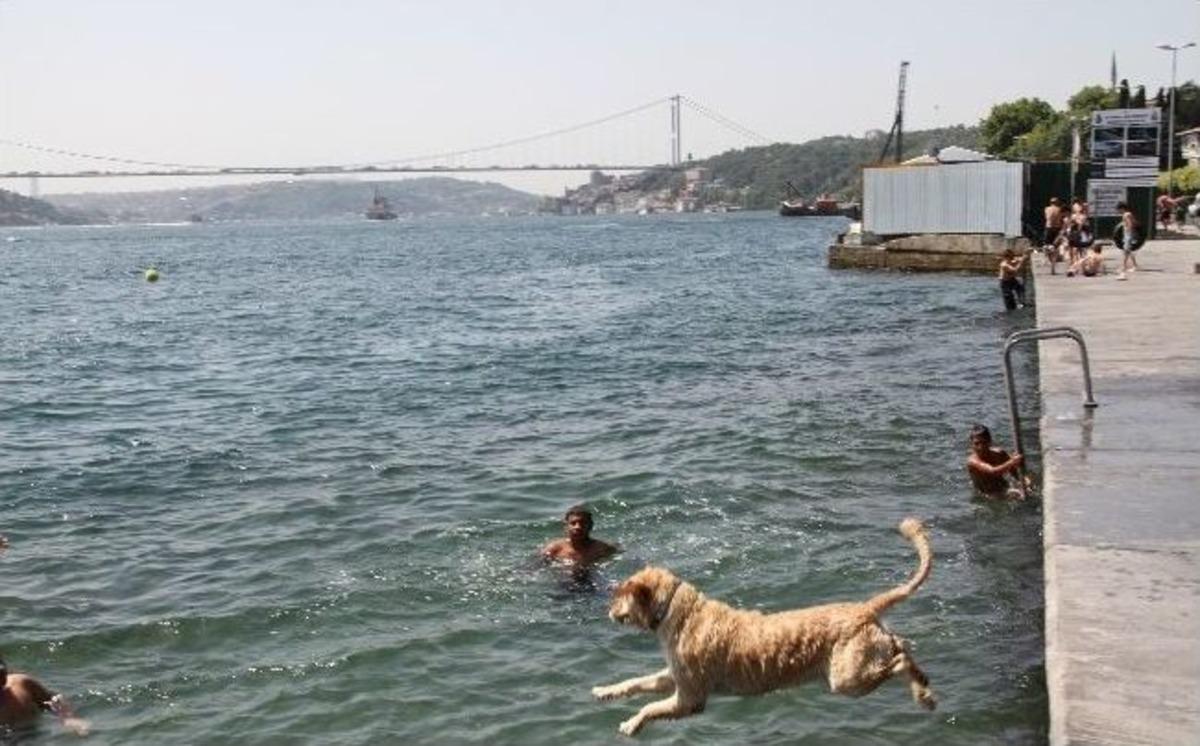 İstanbul&rsquo;da Termometreler 39 Dereceyi G&ouml;sterdi