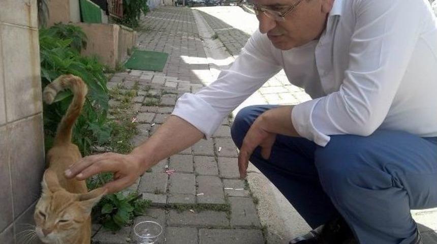 (&ouml;zel Haber) Sıcaklar Hem Vatandaşları, Hem Sokak Hayvanlarını Bunalttı