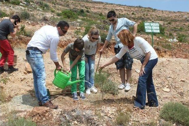 Ege ye Yeni Hatıra Ormanları 2