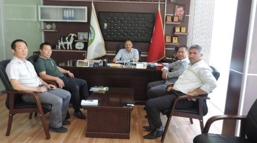 Çinliler Aksaray’a Kaliteli Süt Üretimi İçin Geldi