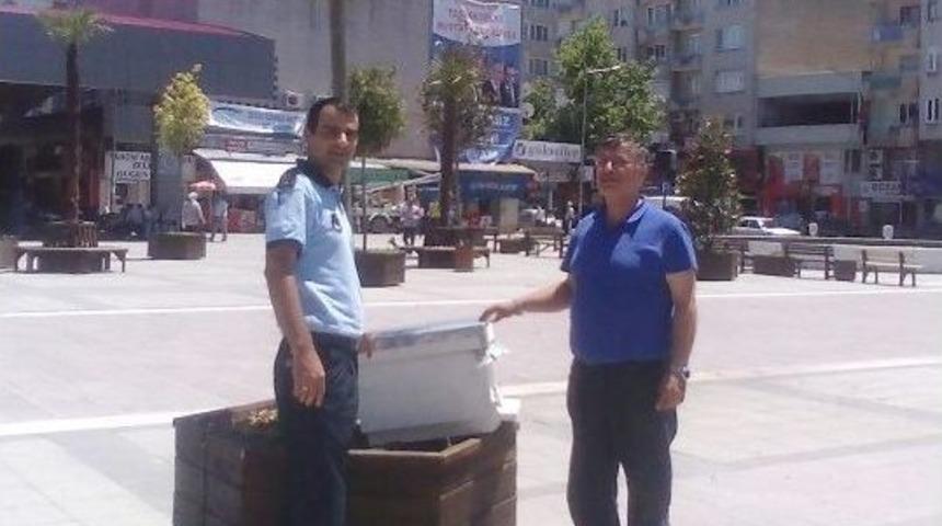 Meydandaki Arı Kolonilerine Arıcı Operasyonu