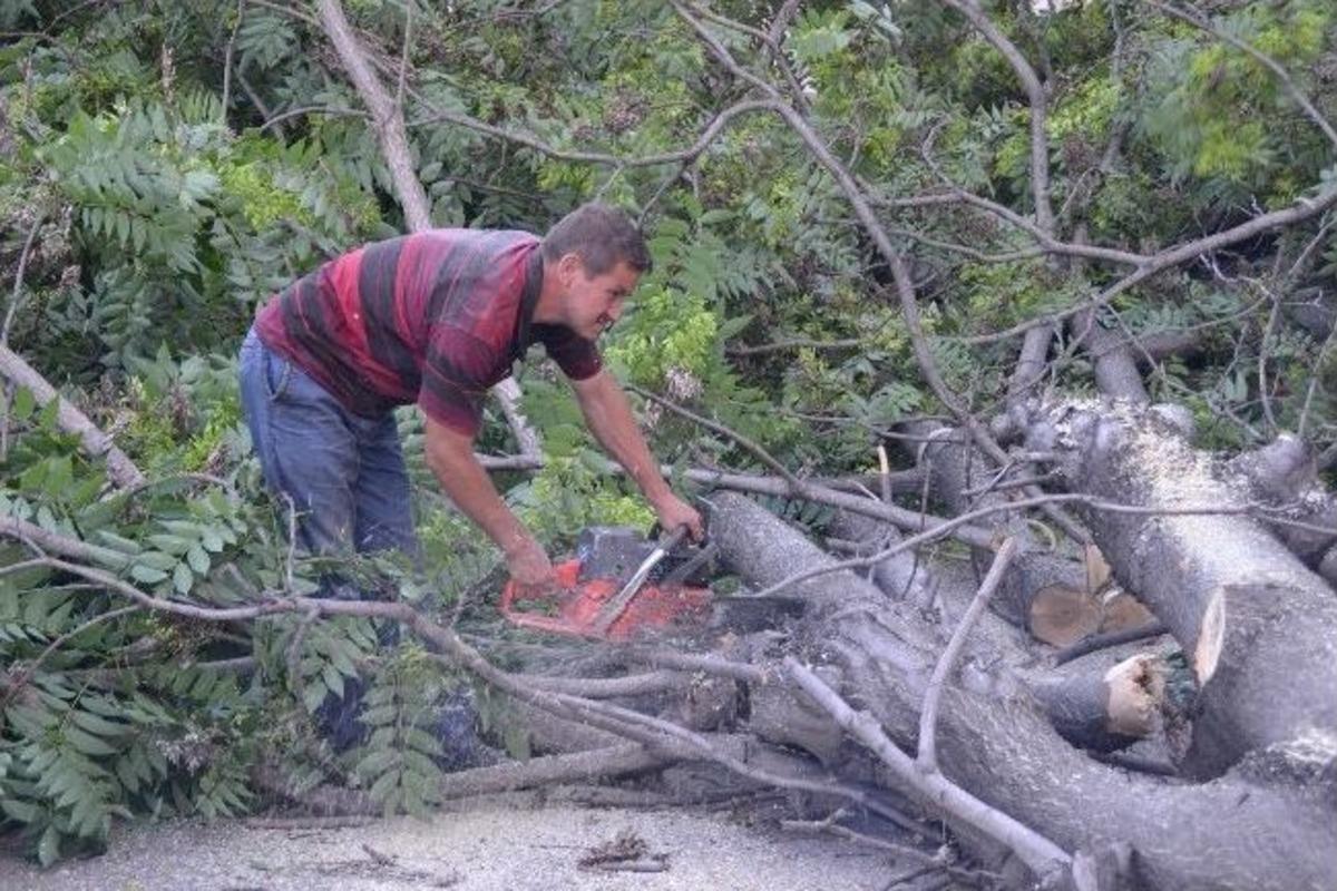Balıkesir'de Ağa&ccedil; Katliamı