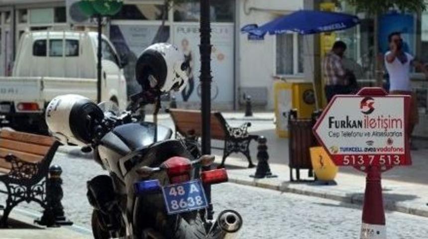 Milas'ta Yunuslar Da Kılavuz Yola Park Ederse