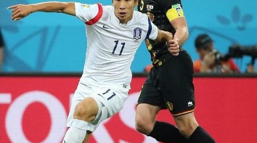 2014 D&uuml;nya Kupası