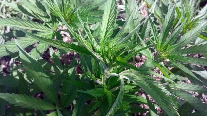 Jandarma Tedbirlerini Artırdı