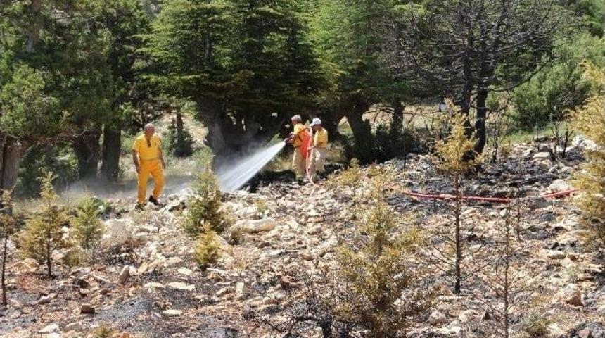 Mut&rsquo;ta Orman Yangını