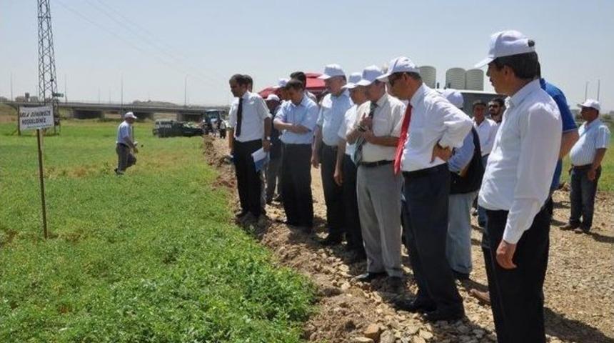 Nohut &Ccedil;eşitleri Tarla G&uuml;n&uuml;yle Tanıtıldı