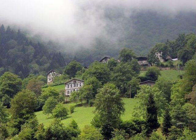 (özel Haber)arapların Yeni Gözdesi Karadeniz