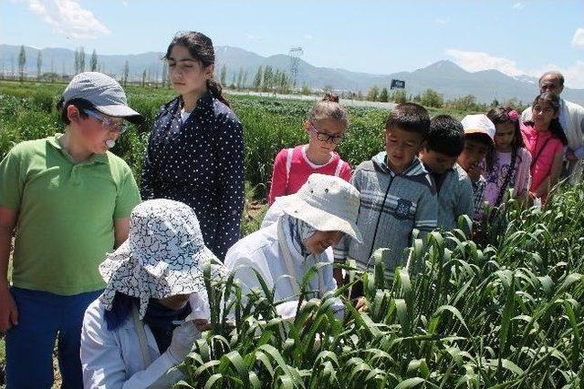 İlkokul Öğrencilerine Tarım Eğitimi Verildi