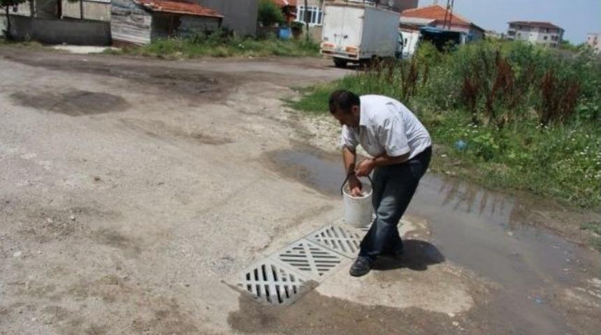 Kırklareli Belediyesi&rsquo;nden Haşerelere Karşı İla&ccedil;lama &Ccedil;alışmaları