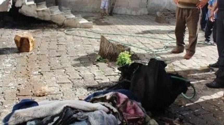 Ev Yangını Kortkuttu