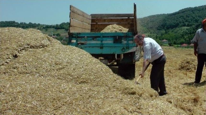 &Ccedil;aycuma&rsquo;da Buğday Hasadı Yapıldı