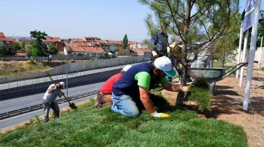 Tepebaşı'nda Park Yapı Ve Onarım &Ccedil;alışmaları