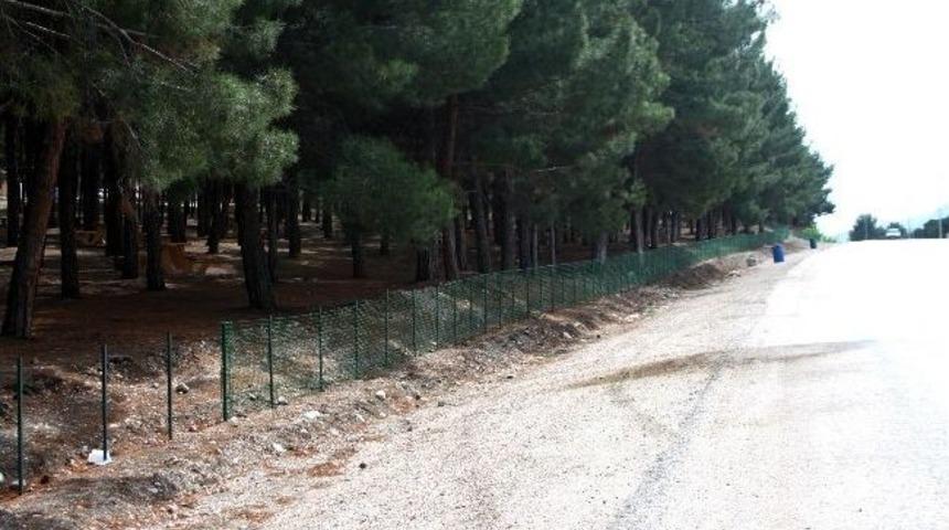 Alyazma Orman İ&ccedil;i Piknik Alanı Halkın Hizmetinde