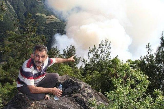 Ayvacık’taki Orman Yangını Söndürüldü