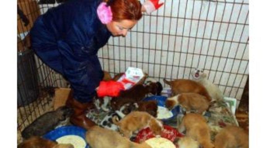 Sezgin&rsquo;den, Belediyelere Teşekk&uuml;r