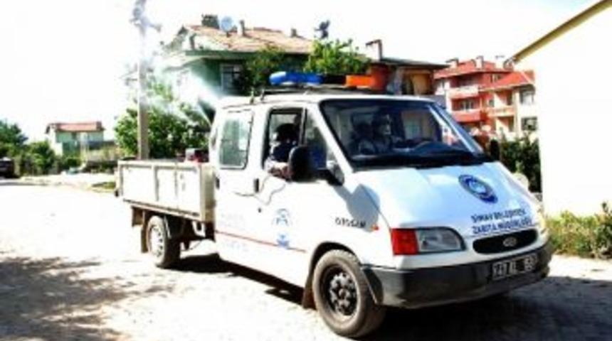 Simav&rsquo;da Haşere Ve B&ouml;ceklere Karşı Etkin M&uuml;cadele