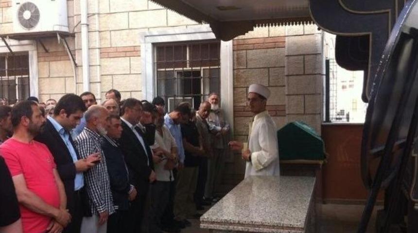 &Uuml;sk&uuml;dar&rsquo;ın En Yaşlı &Ccedil;ınarı Vefat Etti