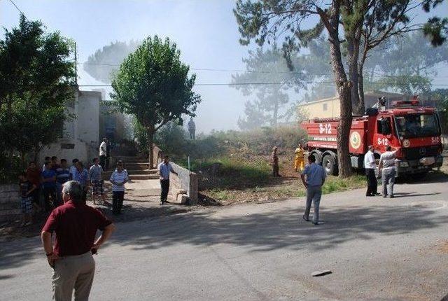 İskenderun’da Mesire Alanında Yangın