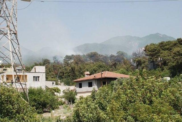 İskenderun’da Mesire Alanında Yangın