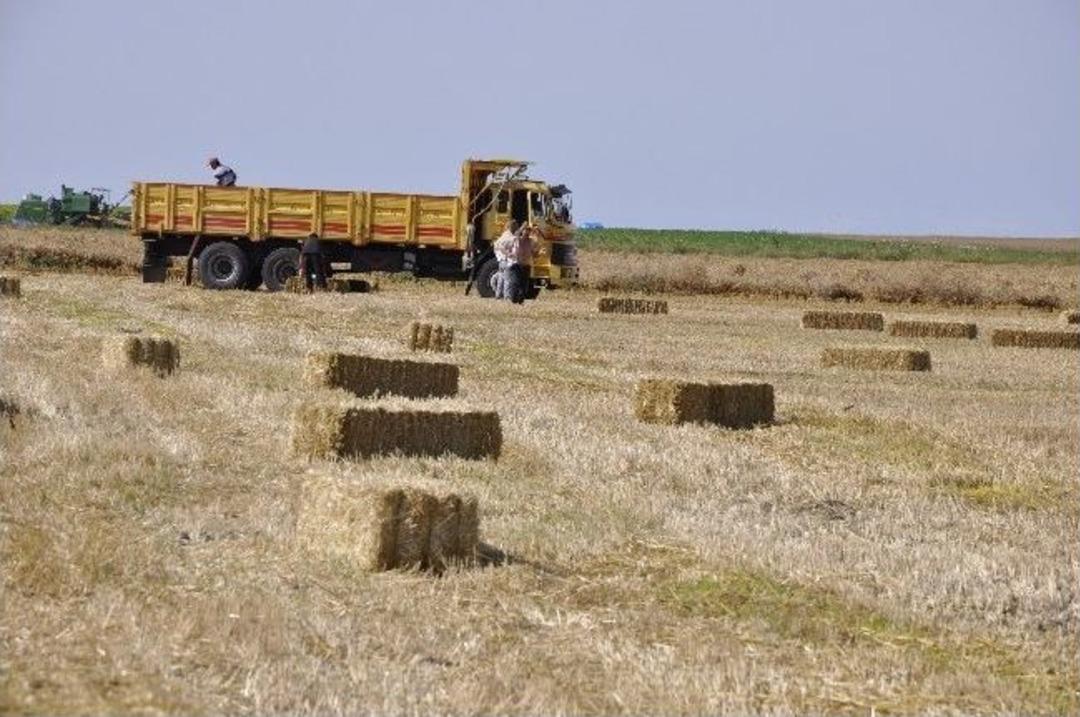 &Ccedil;ift&ccedil;ilerin Sigortacı Şikayeti