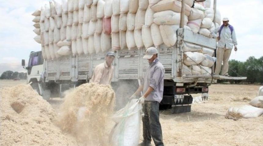 Kuraklık Saman Fiyatlarını Tavan Yaptırdı