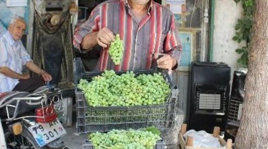 Asma Koruğu Piyasada