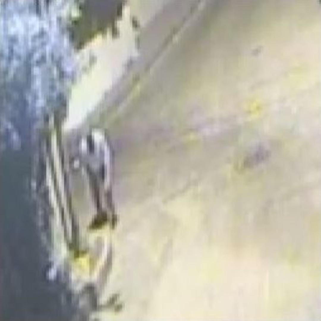 (&ouml;zel Haber) Elektrik S&uuml;p&uuml;rgesi Ve Bah&ccedil;e Hortumu İle Hayata D&ouml;n&uuml;ş Operasyonu