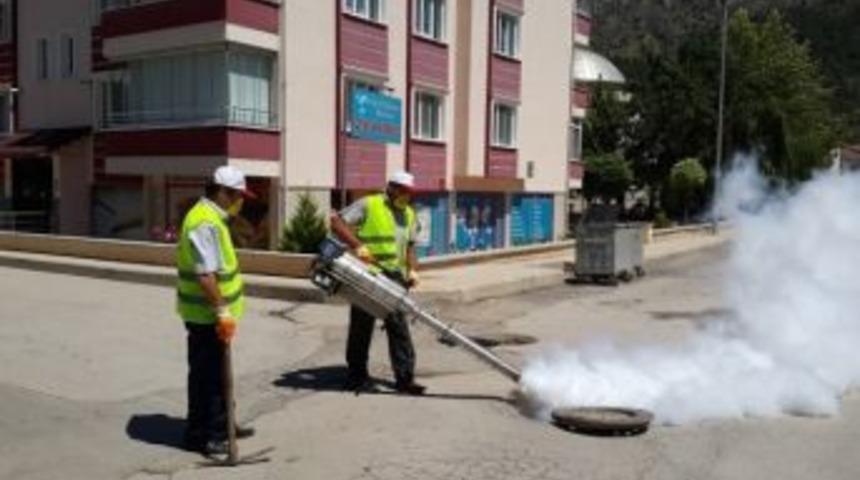 Amasya Belediyesi&rsquo;nden Haşere M&uuml;cadelesi