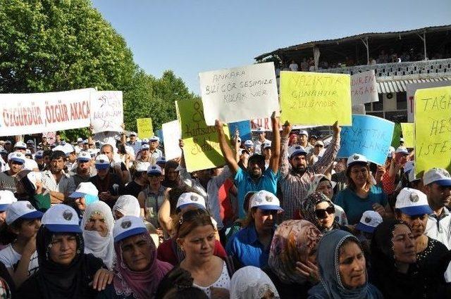 Regülatör Ve Hes Projesi Çemişgezeklileri Birleştirdi