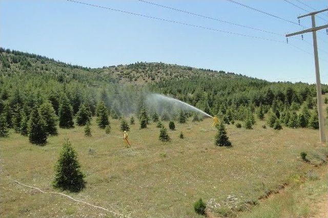 Beyşehir’de Orman Yangını Tatbikatı