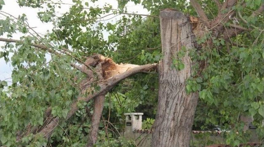 Fırtına Hayatı Olumsuz Etkiledi