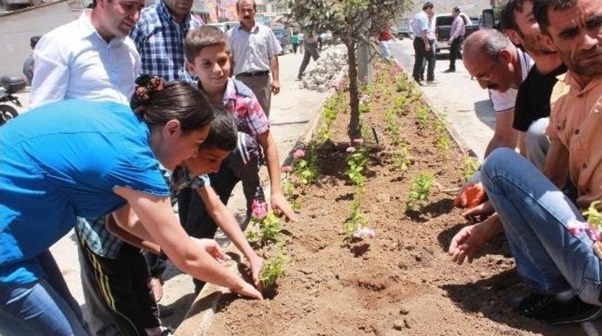 Hakkari Belediyesinden Yeşillendirme Çalışması