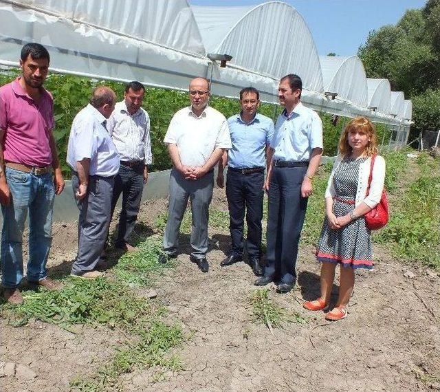 Niksar'da Sera Ve İşletmeler Gezilerek İncelendi