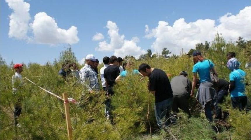 Ekoturizm&rsquo;de Y&uuml;ksek Lisans Fırsatı