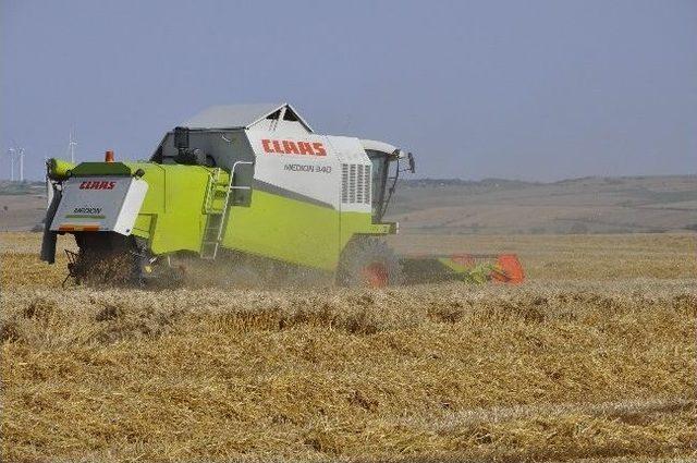 En Büyük Zararı Arzulu Gördü