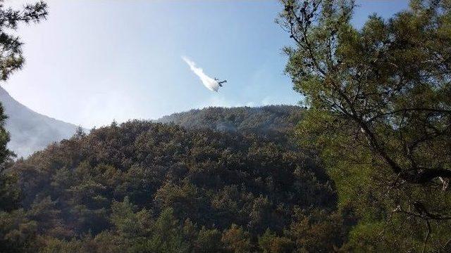 Antalya’daki Orman Yangını