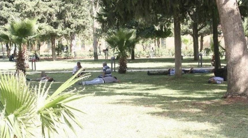 Şanlıurfa'da Aşırı Sıcaklar Bunaltıyor