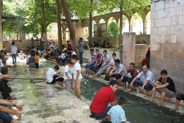 Şanlıurfa'da Aşırı Sıcaklar Bunaltıyor