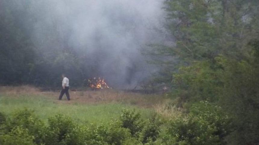 Malatya&rsquo;da Şiddetli R&uuml;zgar Ağa&ccedil;ları K&ouml;k&uuml;nden S&ouml;kt&uuml;