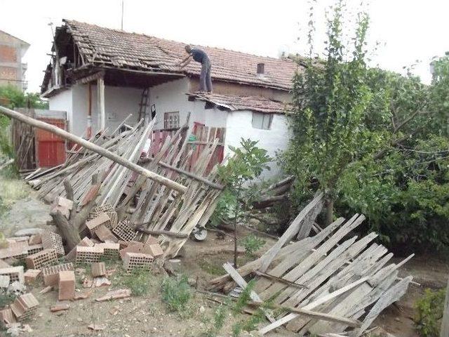 Malatya’da Şiddetli Rüzgar Ağaçları Kökünden Söktü