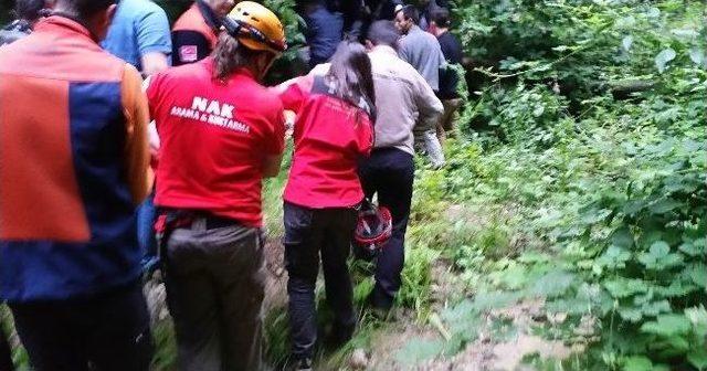 (özel Haber) Ihlamur Toplamak İsterken Kayboldu