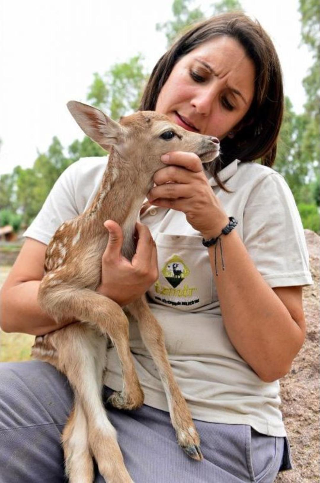 İzmir Doğal Yaşam Parkı'na Yeni Misafir