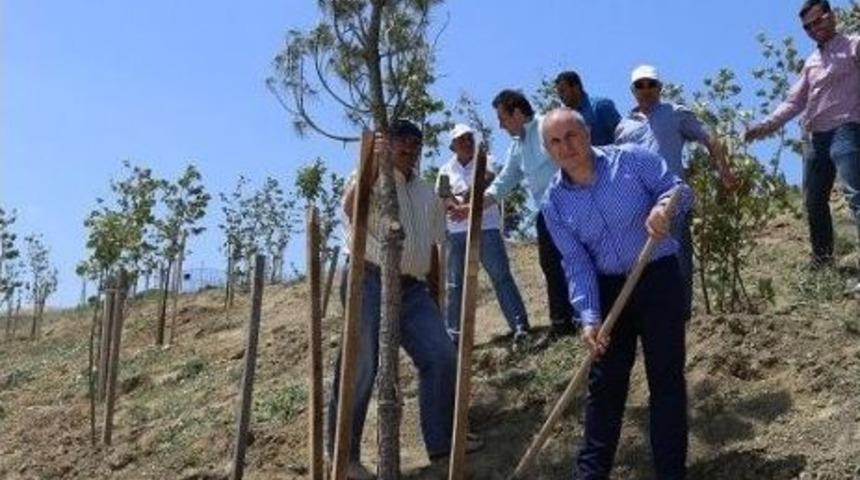 Başkan Akg&uuml;n, Ramazan&rsquo;a Bin 500 Ağa&ccedil; Dikerek Girdi