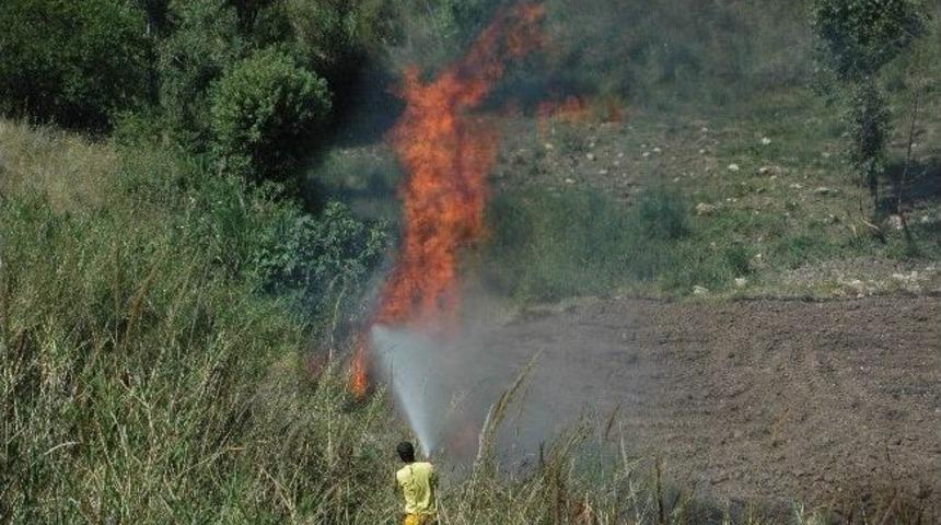 Adıyaman&rsquo;da, 50 D&ouml;n&uuml;m Meyve Bah&ccedil;esi K&uuml;l Oldu