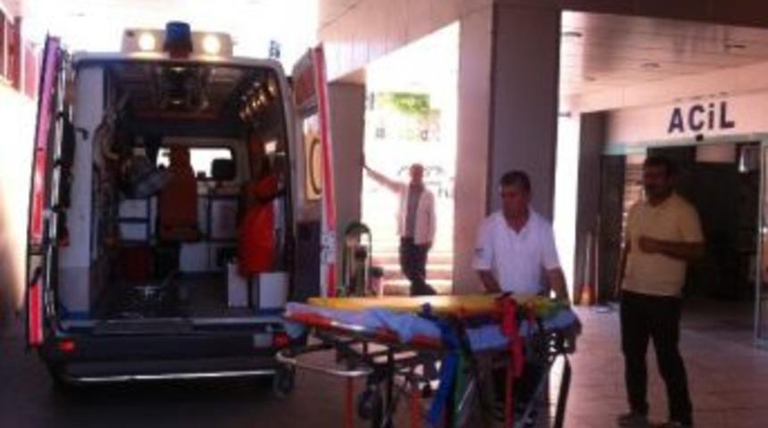 Akrebin Soktuğu Kadın Hastanelik Oldu