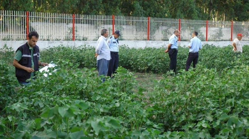 Kaybolan Kişinin Cesedi Tarlada Bulundu