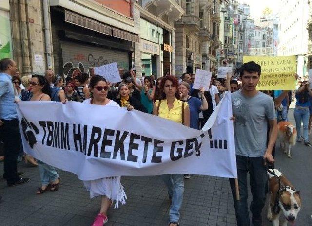 Hayvanseverler, Yeni Tasarıyı Protesto Etti